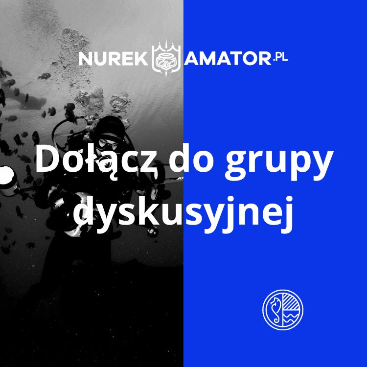 Nurkowa grupa dyskusyjna - Nurek Amator